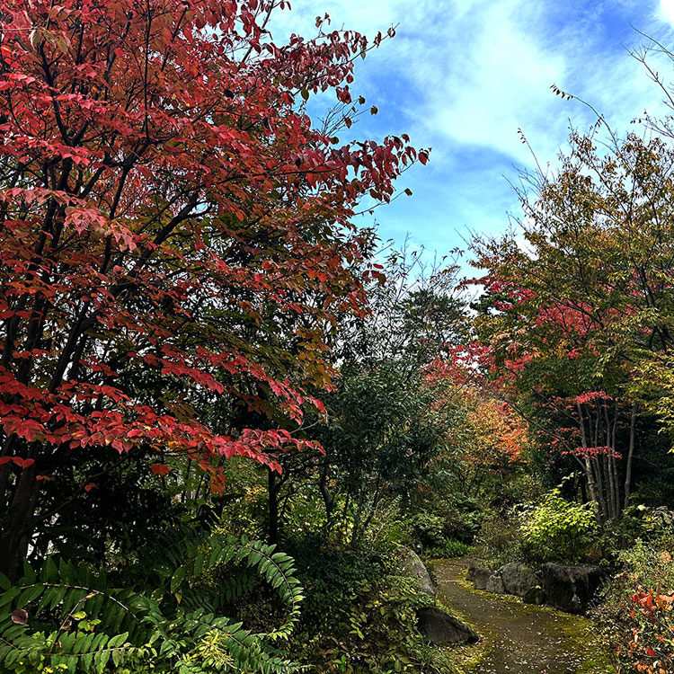 群馬県秋の紅葉和装前撮りロケーションフォト